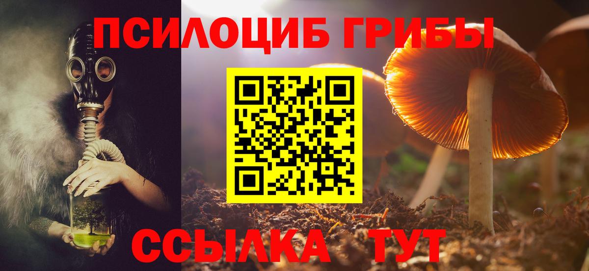 Черкесск  Псилоцибиновые грибы Cubensis  Вход с VPN 